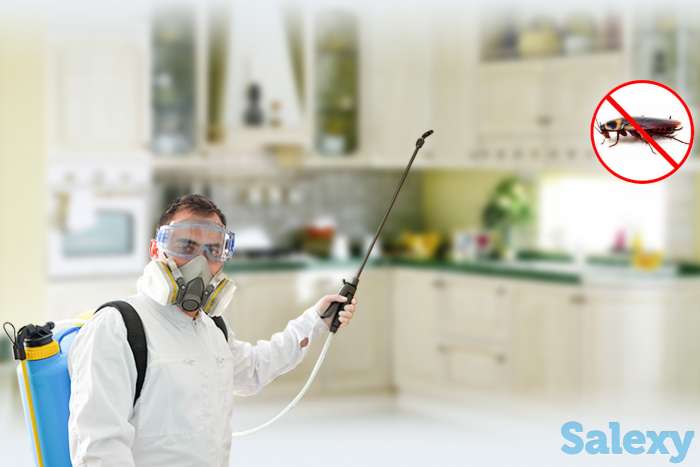 Дезинфекция от клопов и насекомых! Гарантия и Скидки!, фотография 5