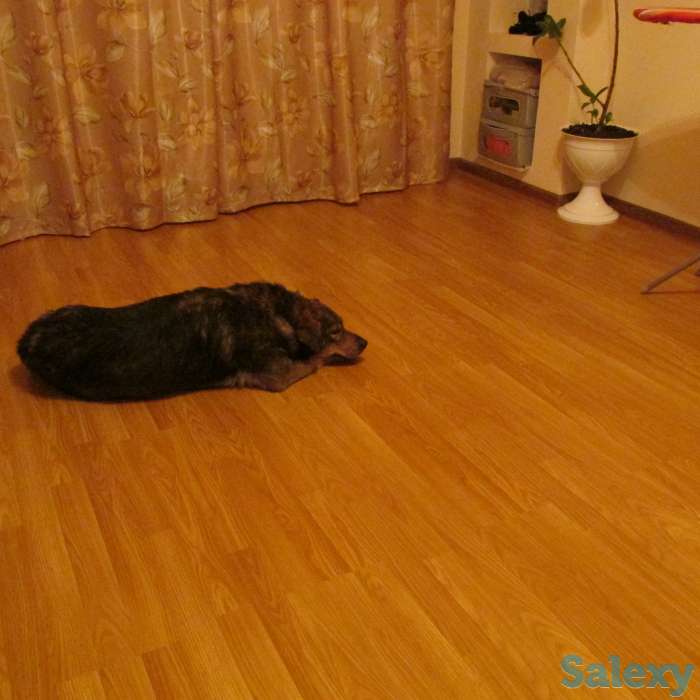 Срочно, недорого продам 2-комнатную квартиру, фотография 2