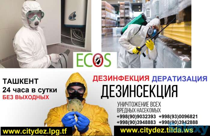 Компания 