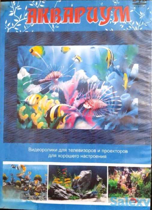 ДВД-диски (Природа. Животный мир), фотография 5