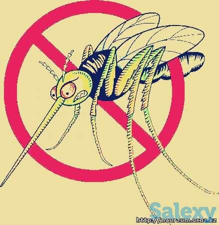 Дезинфекция от всех видов насекомых и грызунов гарантия качества 100%, фотография 1