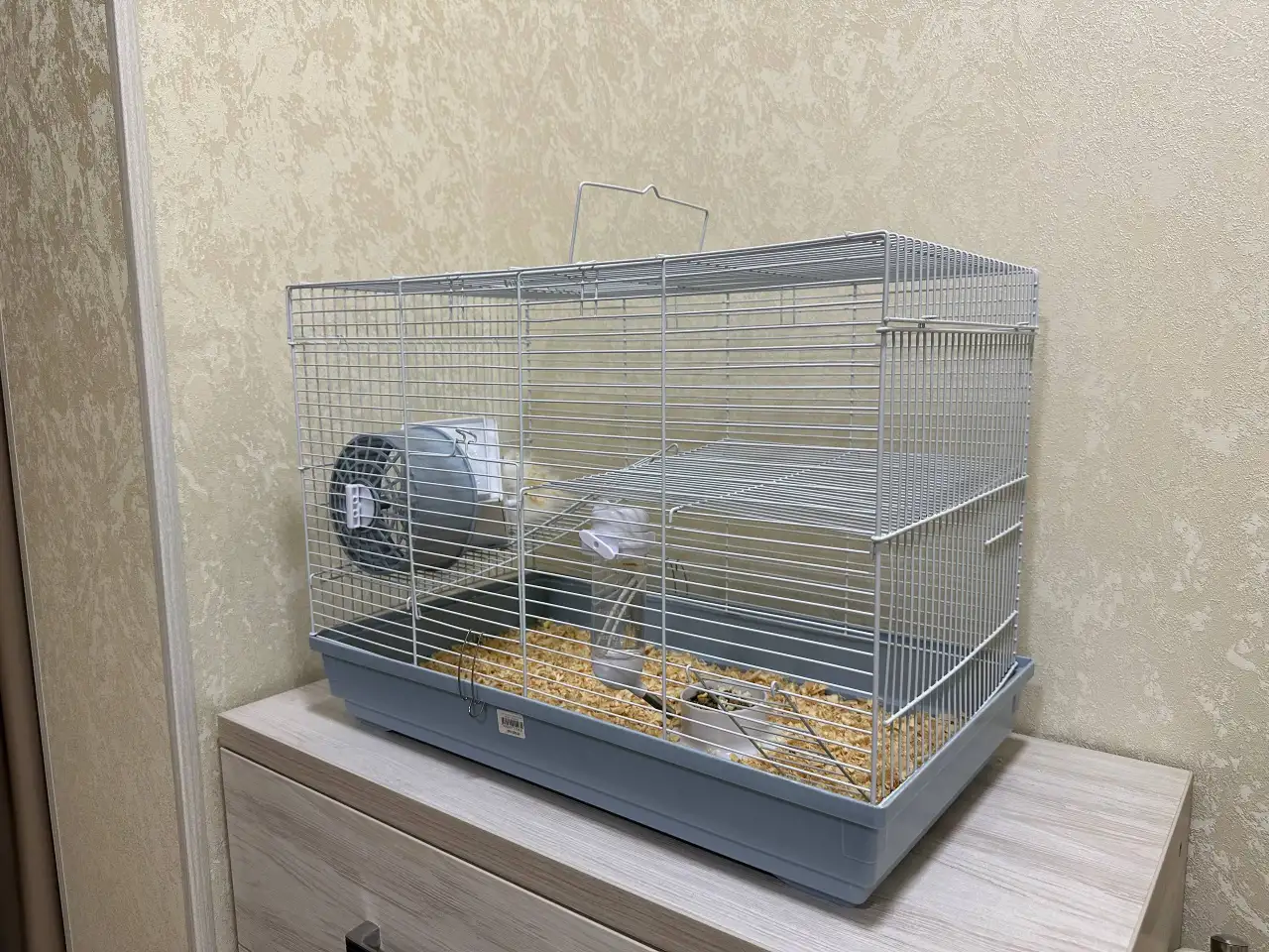 Продается хомяк, фотография 1