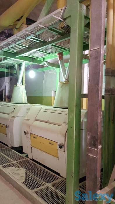 продаю мукамолку, фотография 1