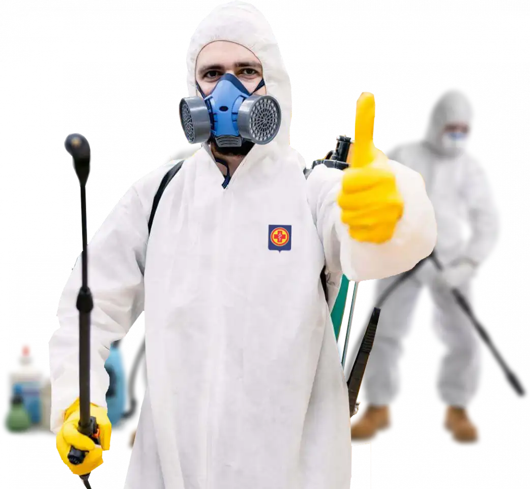 Услуги Дезинфекция, фотография 5