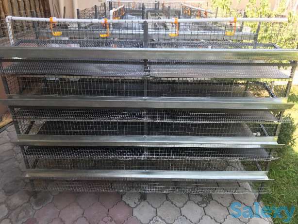 Бедана кафас сотилади, фотография 1