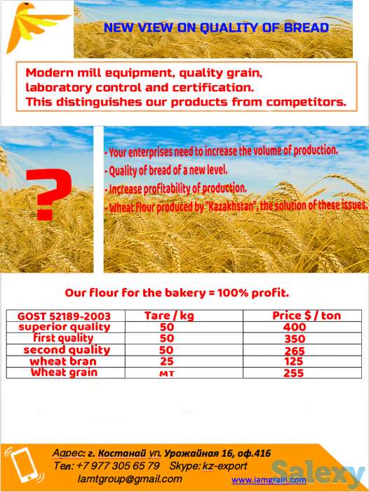 Отруби и мука пшеничная оптом по выгодным ценам из Казахстана., фотография 3