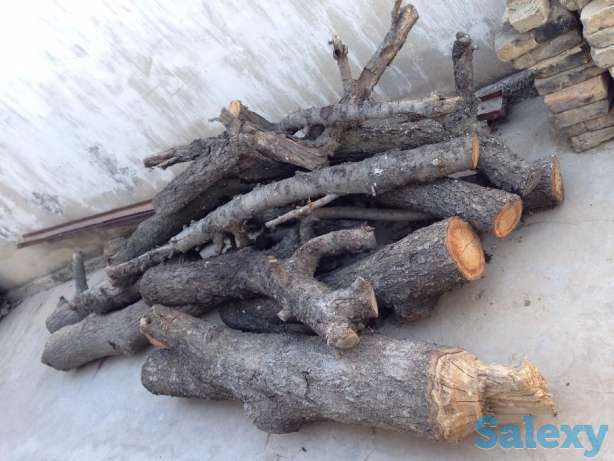 Продаются спиленные стволы грецкого ореха и черешни, фотография 1