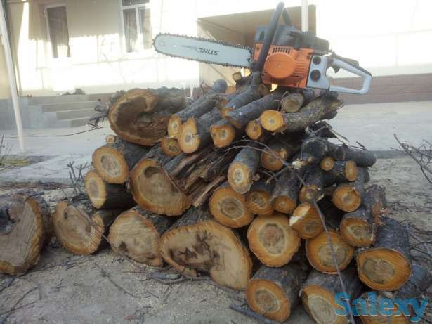 Обрезка и лесоповал, фотография 1