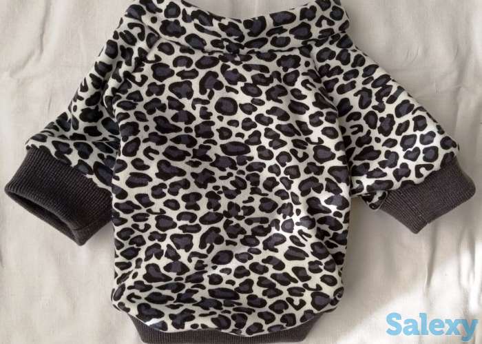 Кофточка (для мопсов), фотография 2