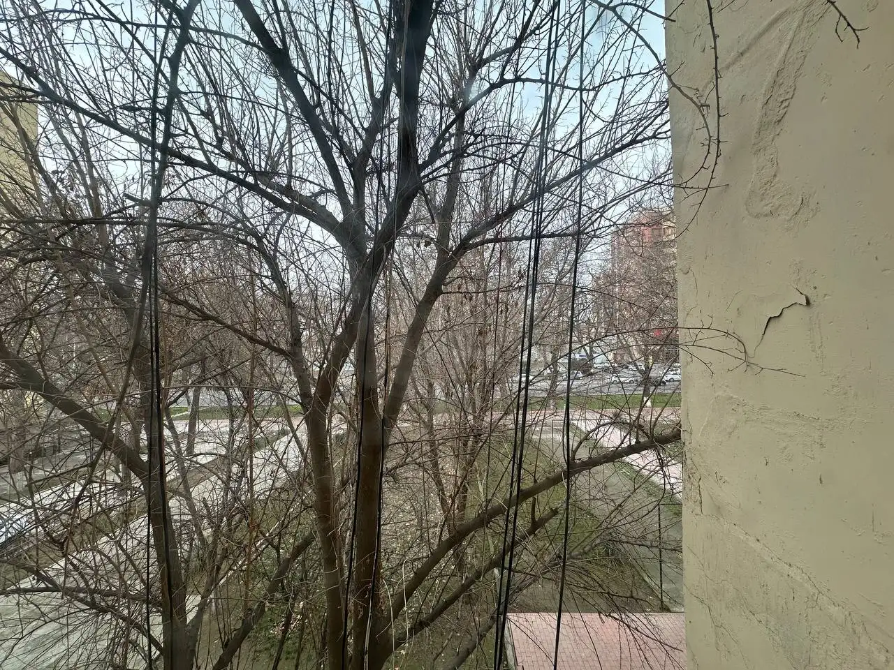 234 Ц-5 Пожарка !Лучшее предложение, фотография 4