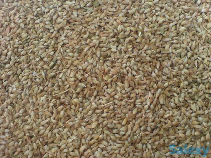 Лавровый лист и специи, фотография 6