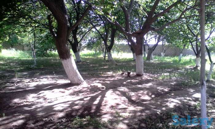 продам дом в городе Алмалык, Пскентский, Пскентский, фотография 7