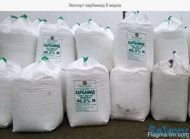 Предложение, фотография 2