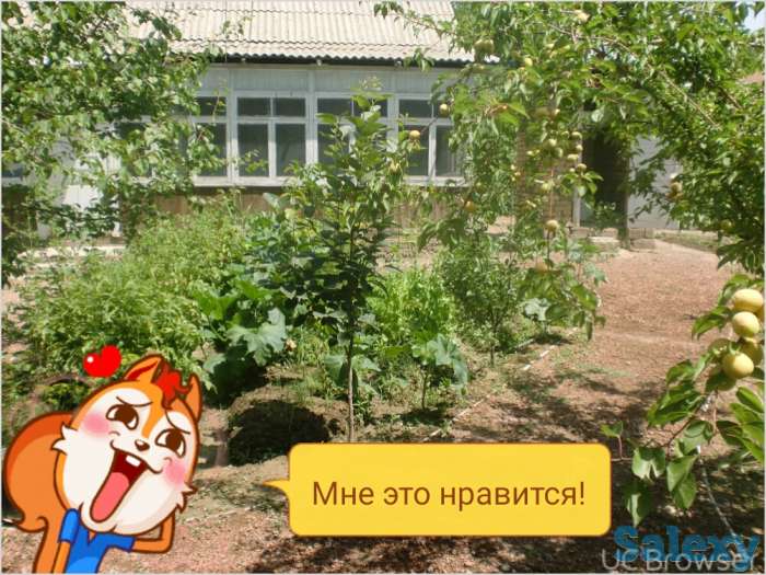 Продается два участка в Гулестане, фотография 5