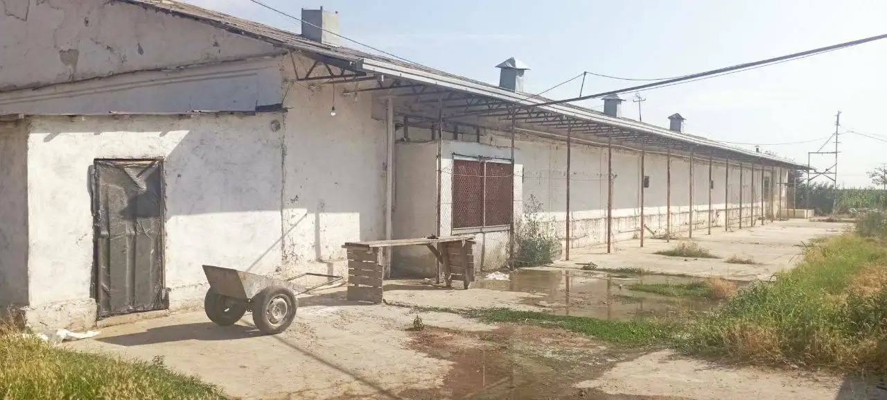 10 га Новый Ташкент, фотография 7