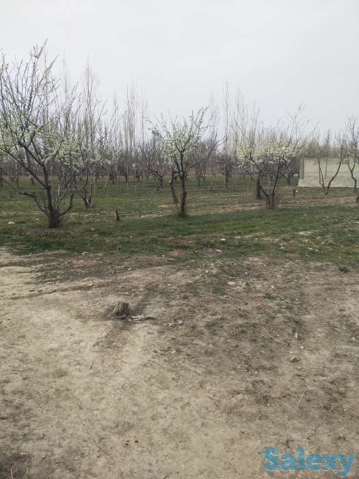 Продам, фотография 3