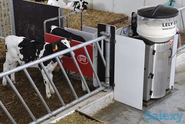 Автоматизированная система выпойки телят Lely Calm, фотография 3