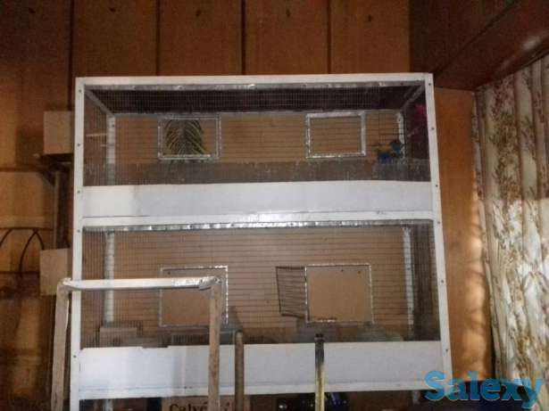 Qafas sotaman, фотография 1