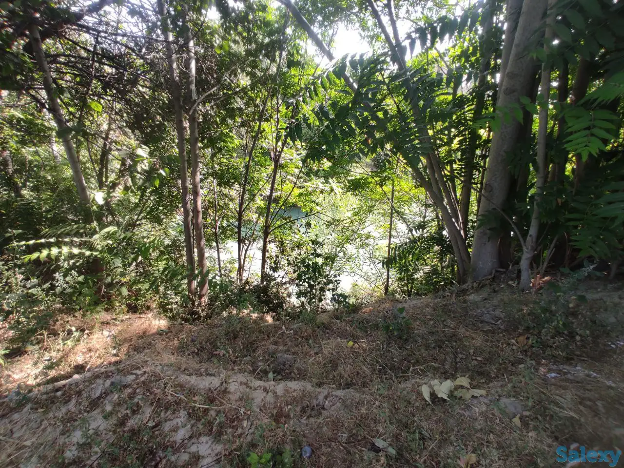 ул.Чинабад,р.Бозсу,4-комн,2-этажа,10-соток,182 м²,бассейн,сад, фотография 9