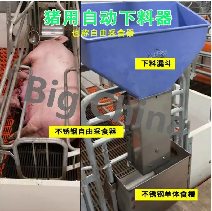 Оборудование Big Ducthman для свинокомплекса по выращиванию свиней из Китайского производителя., фотография 6