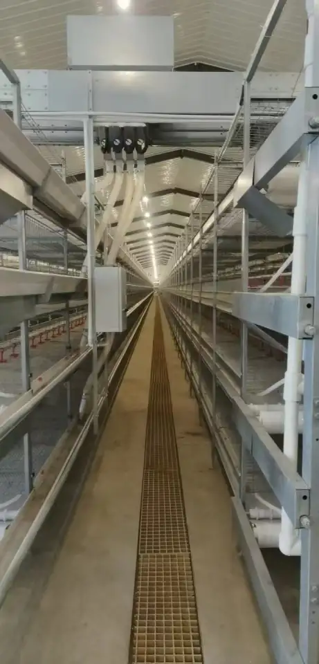 Оборудование  Big Dutchman для птицефабрики по выращиванию птиц из Китайского производителя , дешево и качественно!, фотография 1