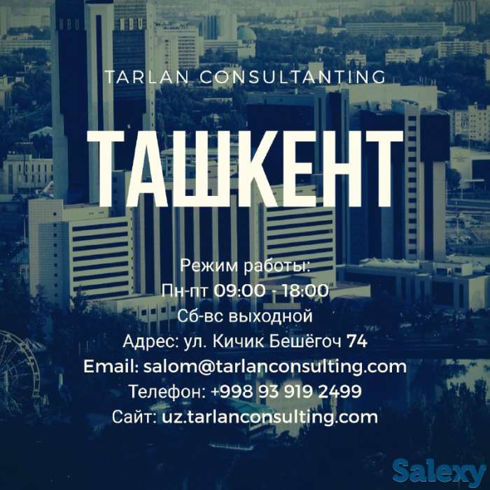 Юридические услуги от экспертов, фотография 5