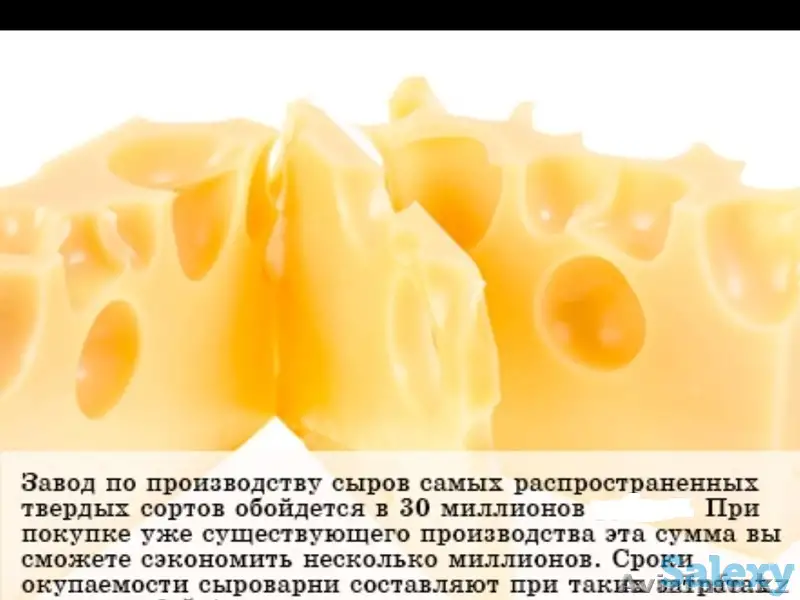Оборудование для производства сыра.Творог.Молока и т далле, фотография 3