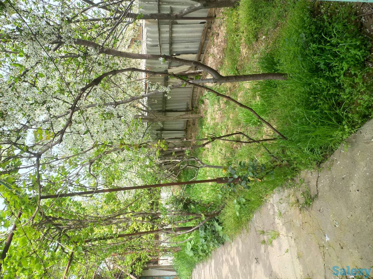 Продажа отличного дома, Населённый пункт нурли замин, фотография 1