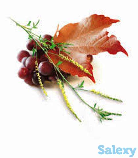 Фортивен капсулы для проблем с венами, Swiss Nahrin, Швейцария, фотография 8