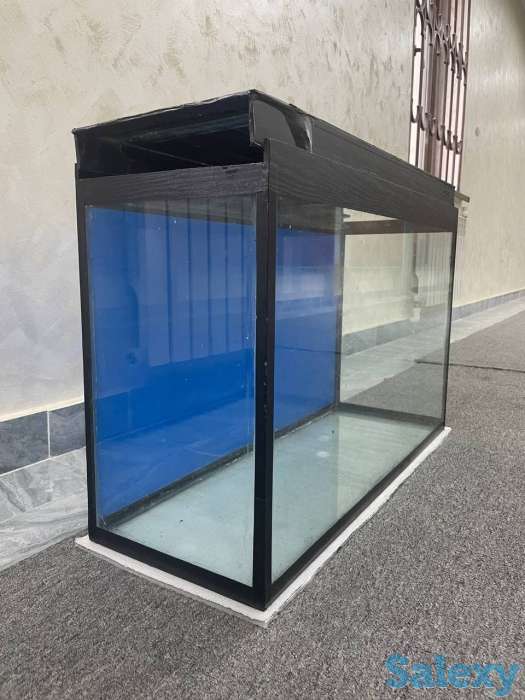 Akvarium, фотография 1