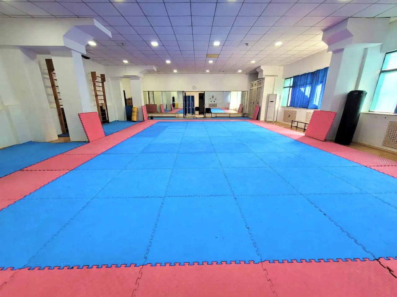 АРБ, боевое САМБО, ММА, фотография 1