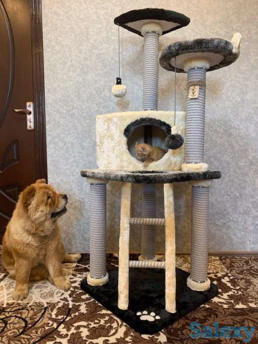 Когтеточка для кошки. Игровой комплекс для кошки. Дом для кошки., фотография 10