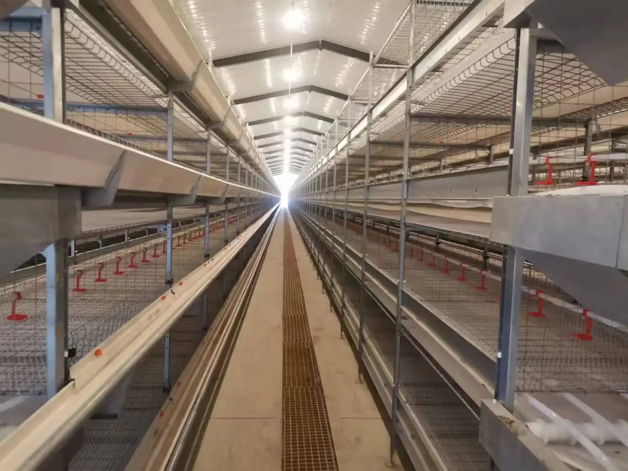 Оборудование  Big Dutchman для птицефабрики по выращиванию птиц из Китайского производителя , дешево и качественно!, фотография 4