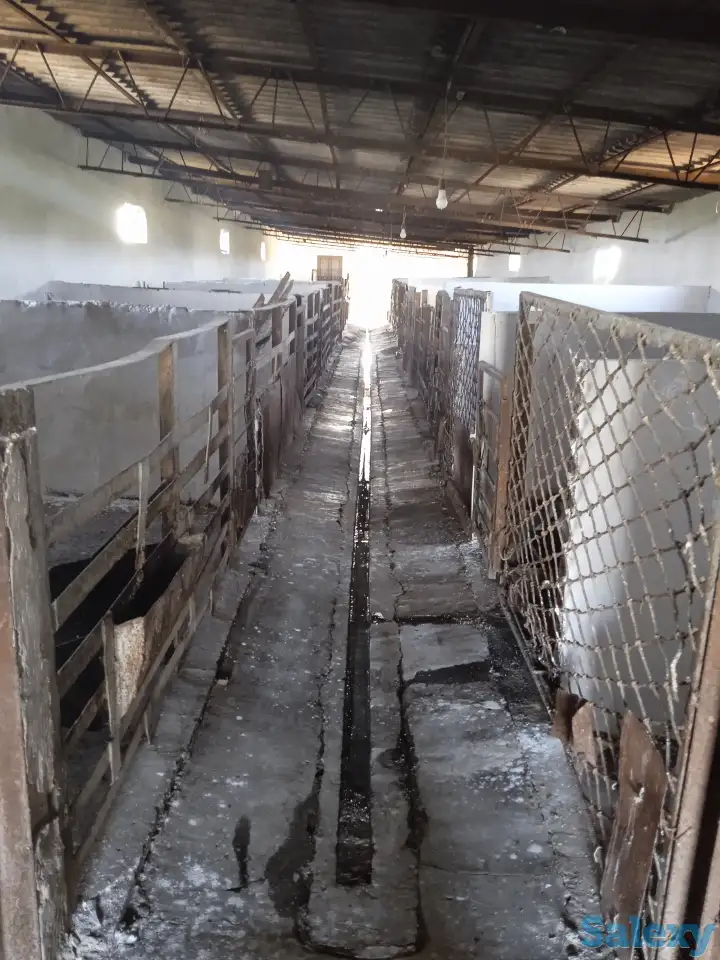 Продается ферма, фотография 3