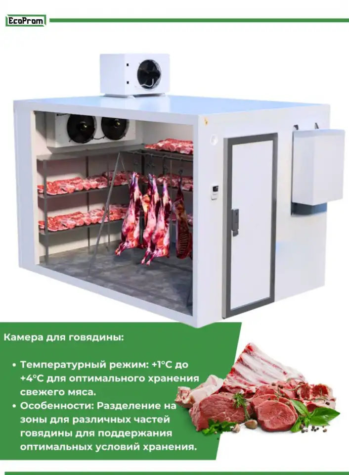 Строительство холодильных камер с нуля, фотография 3