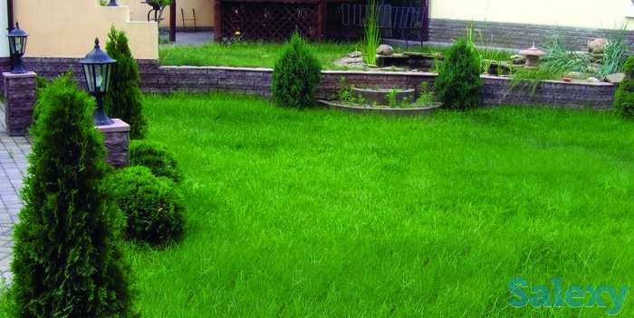 Посев газона, цветники, клумбы, рокарии, альпинарии. Делаем искусственные водопады и барельефы. Установка систем авто по, фотография 9