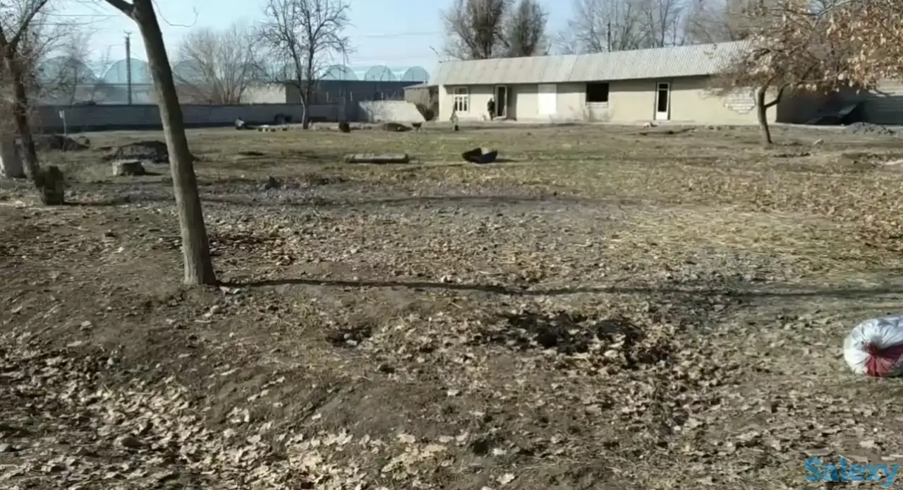 Сирдаре сувни буйида ер сотилади, Сирдарё вилояти Сирдарё тумани Шоликор МСГ, ул. Донгдор, дом 9, фотография 3