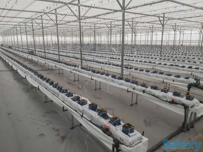 МОНТАЖ КОРЕЙСКИХ ТЕПЛИЦ ПОД КЛЮЧ, фотография 4