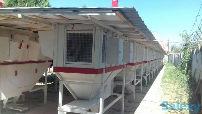 Кролиководство, фотография 2