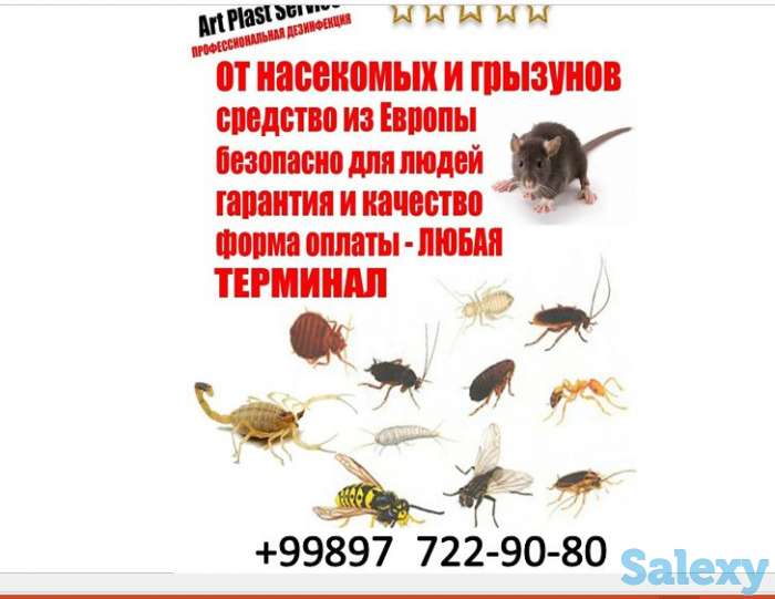 Дезинфекция от насекомых, фотография 5