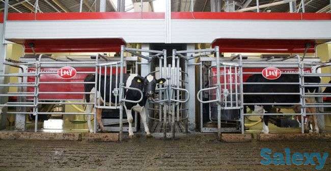 Роботизированная доильная система Lely Astronaut A5, фотография 6