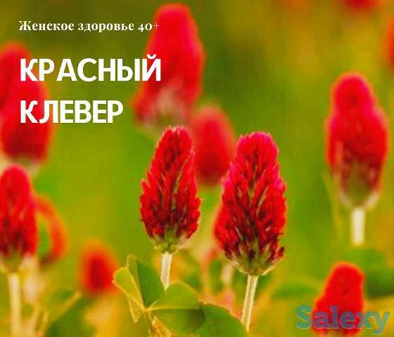 Капсулы Красный клевер при менопаузе, Swiss Nahrin, Швейцария, фотография 5