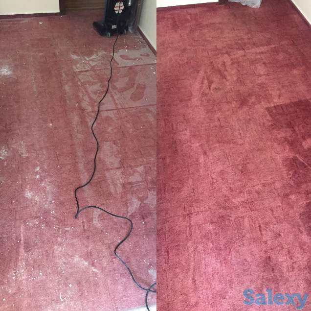 Выездная химчистка мебели и ковров на дому, фотография 4