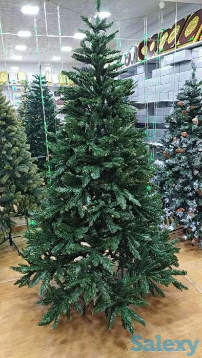 Елки 1 м - 25 м, фотография 4