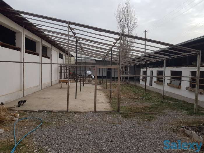 Обмен дом 7сот. г.Ташкент Бектемирский р.н на дом или дачу в Бостанлыкском районе, фотография 2