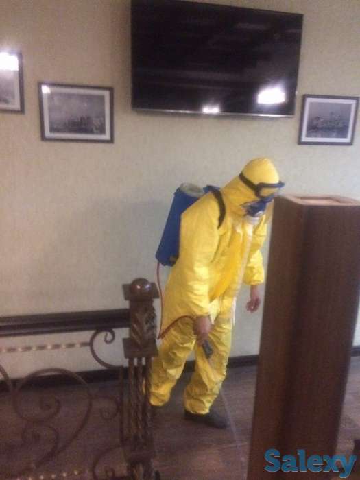 Дезинфекция от насекомых, фотография 10