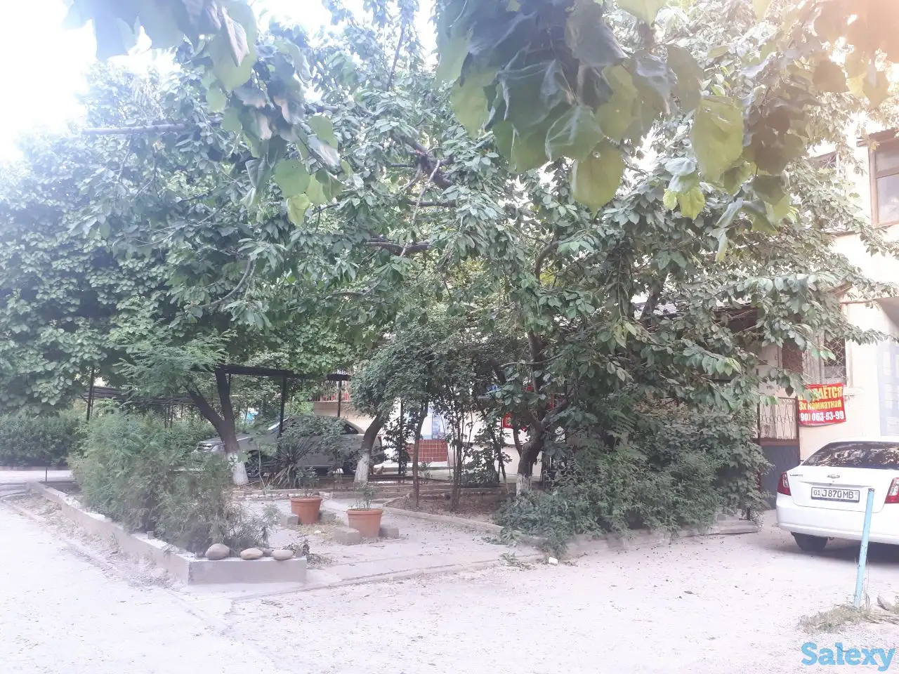 3х Комнатная Своя, 78м2, 1й этаж, серия 77, кирпич, фотография 5