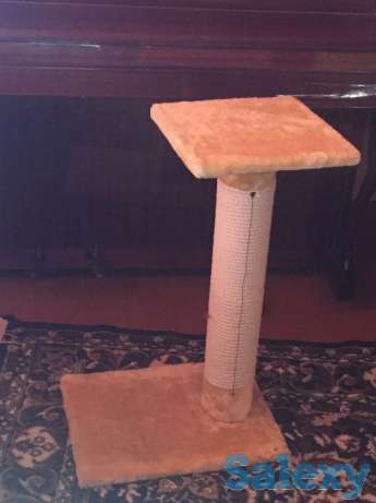 Кошачье дерево в прекрасном состоянии высота 1 метр когтеточка, фотография 1