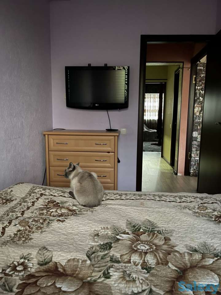 Ц-13, 3/6/9, Лабзак 35, фотография 6