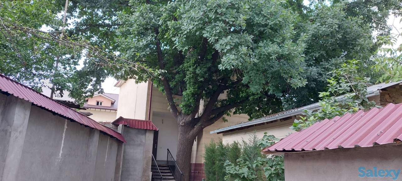 Частный дом, Ул. Олтинтепа (Циолковского), фотография 4